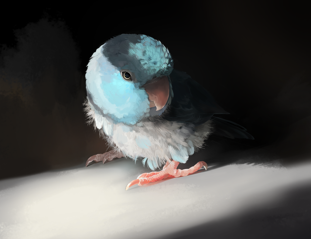 Bean
