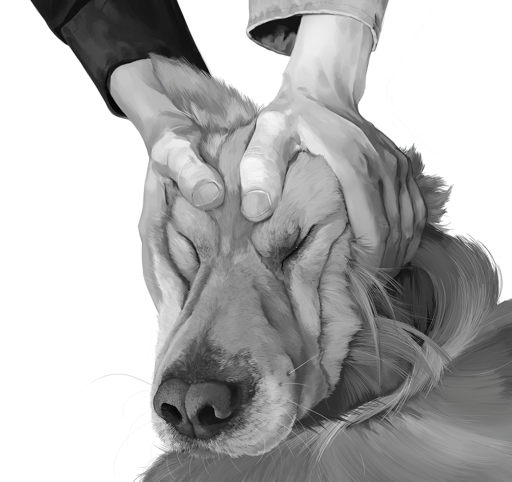 Compress the Dog Face